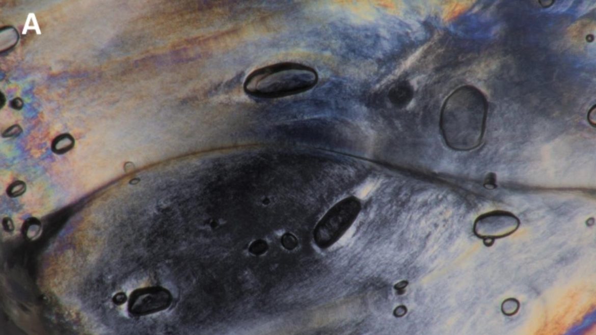 Schleimiges Material im Fußboden erzeugt Energie wenn man darüber läuft
